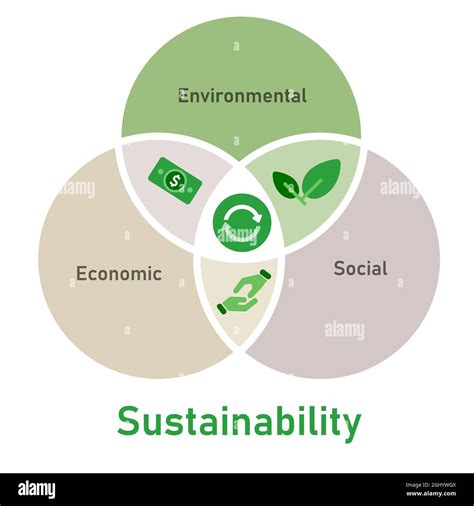 The Impact of Sustainability 